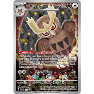 Noctowl BSP