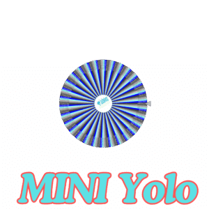 MINI Wheel (Possible Yolo Spin)