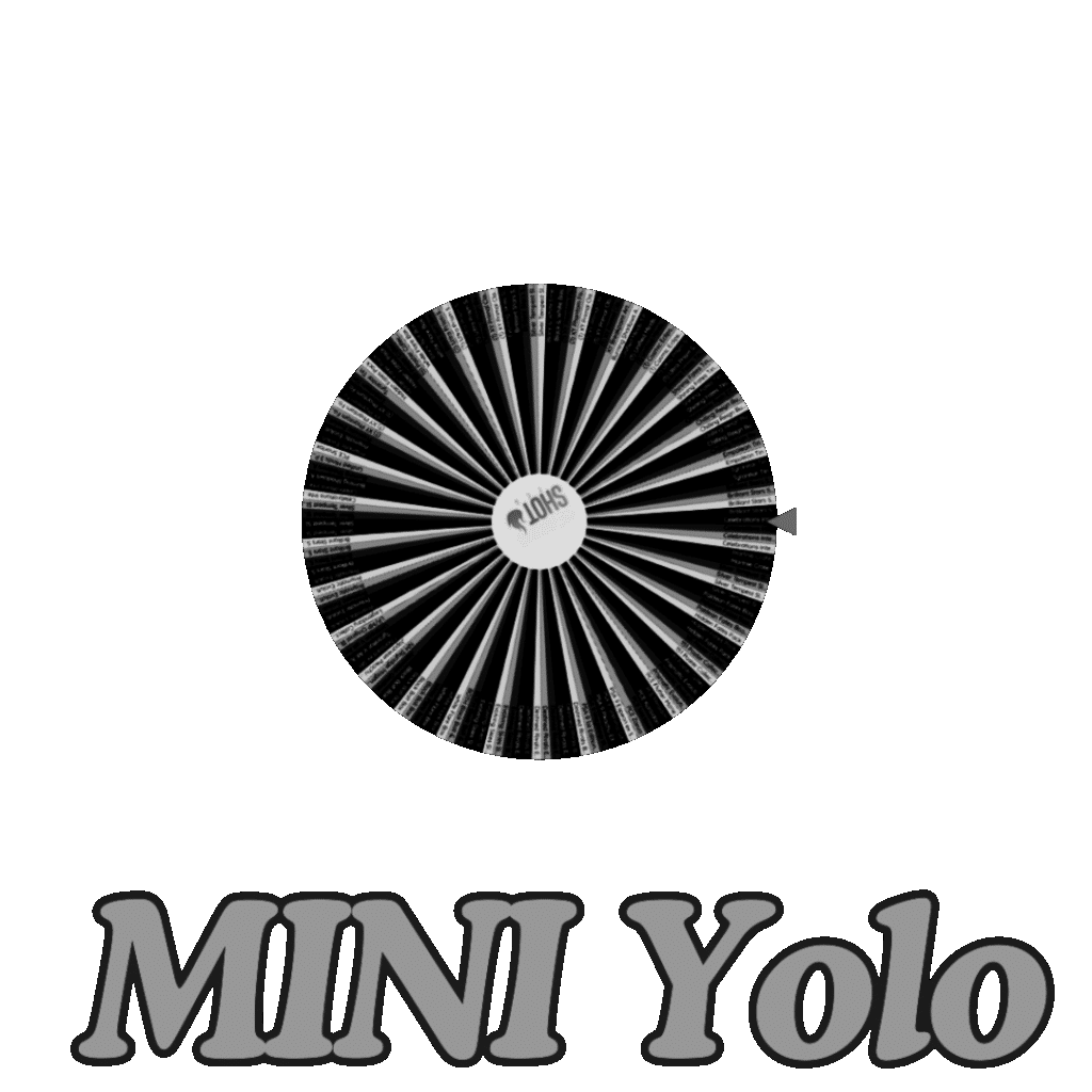 MINI Wheel (Possible Yolo Spin)