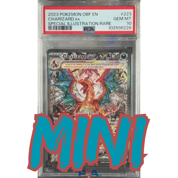 RAZZ - 10 Spots MINI for Spot #2 on Onsidian Zard Main (2)