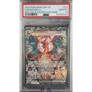 RAZZ - 10 Spots Obsidian Zard Main +10 Degen Tickets