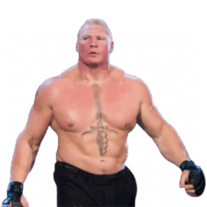 Fighting (UFC + WWE)