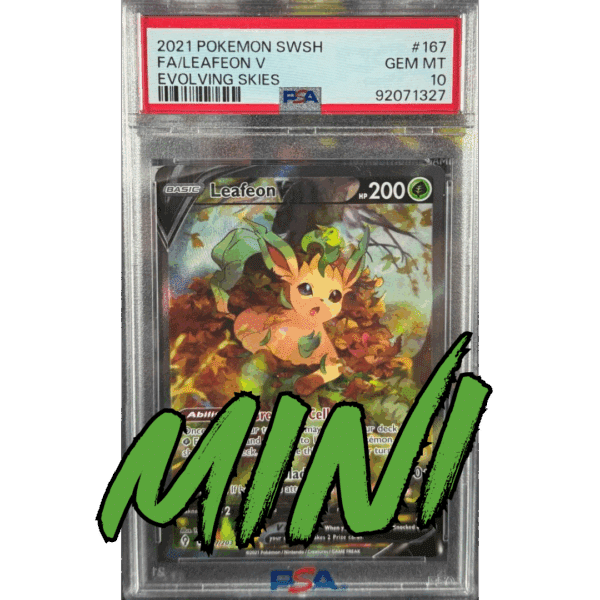 RAZZ - 10 Spots MINI for Spots 6+9 on Leafeon Main (69)