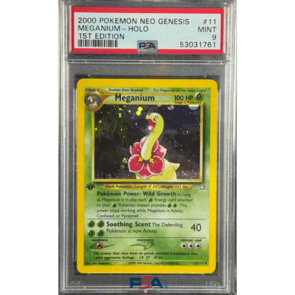 RAZZ - 10 Spots 1st Ed Meganium Main