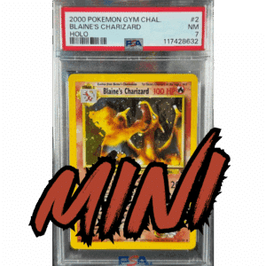 RAZZ - 10 Spots MINI for Spot #1 on Blaine's Zard Main (1)