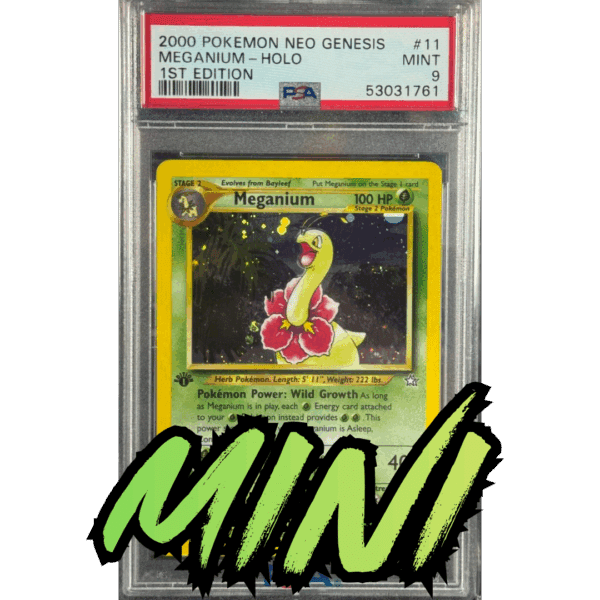 RAZZ - 10 Spots MINI for Spots 5+10 on Meganium Main (510)