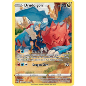Druddigon TSG (ST)