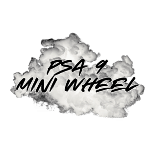 PSA 9 Mini Slab Wheel Spin as we Go