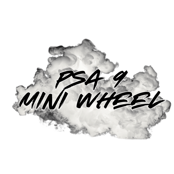 PSA 9 Mini Slab Wheel Spin as we Go