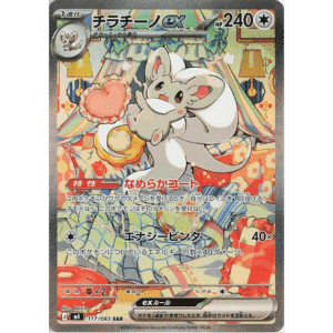 Cinccino ex SAR (NS)