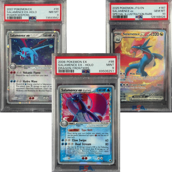 Salamence Slab Set (All 3)