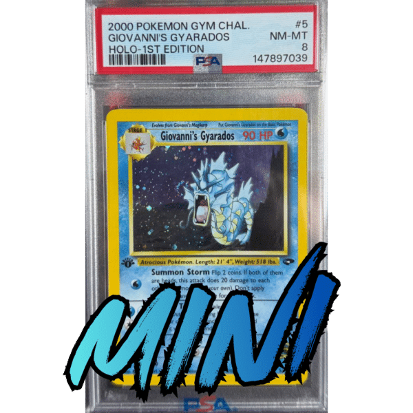 RAZZ - 10 Spots MINI for Spot 3 on Gyarados Slab Main (GY3)
