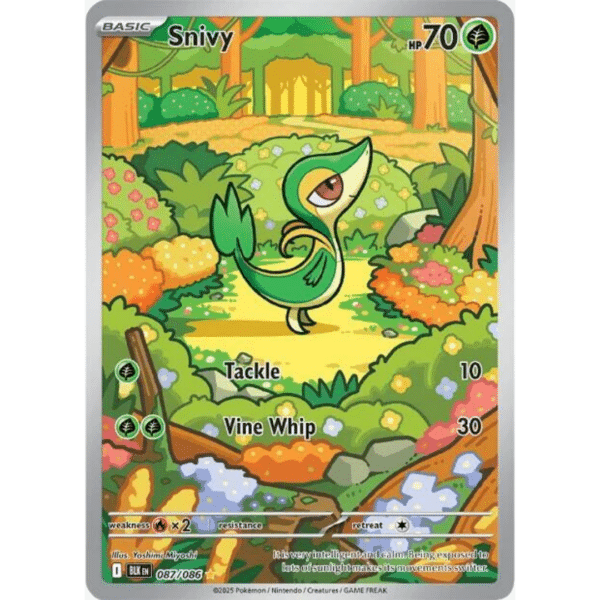 RAZZ - 10 Spots BF Snivy