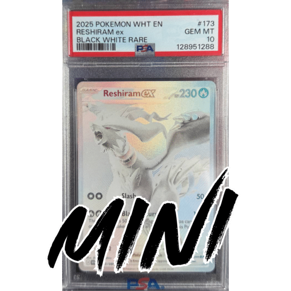 RAZZ - 10 Spots MINI for Spot 3 on Monochrome Reshiram Slab Main +2 Degen Tickets (MR3)