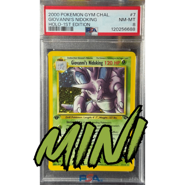 RAZZ - 10 Spots MINI for Spots 2+9 on Nidoking Slab Main (NI29)