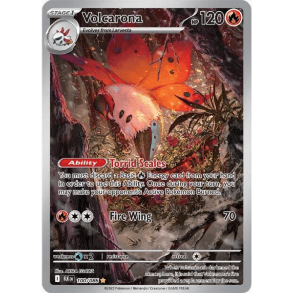 RAZZ - 10 Spots BB Volcarona