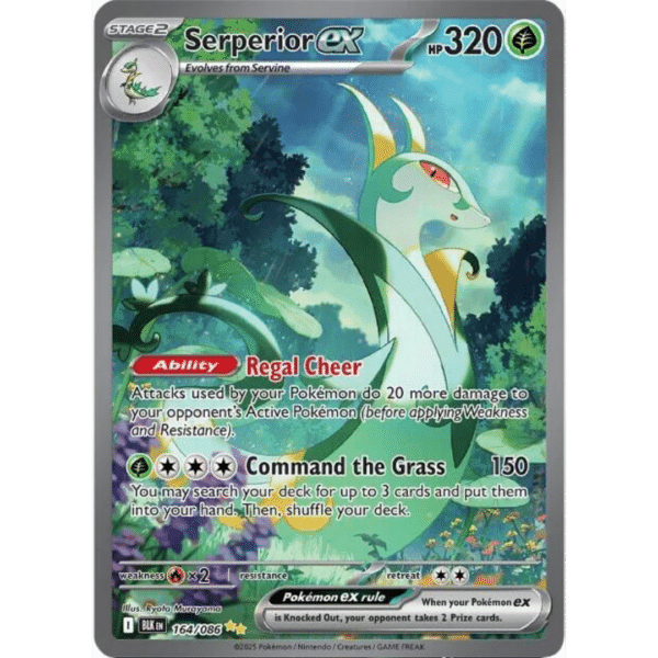 RAZZ - 10 Spots Serperior